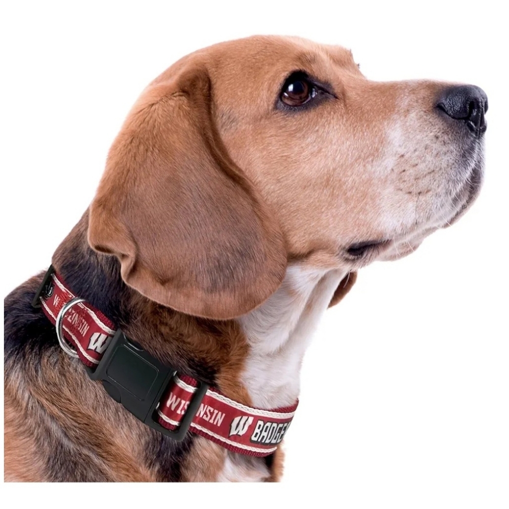 Pets First Collegiate Dog Collar - Red